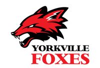 yorkville foxes travel baseball tryouts