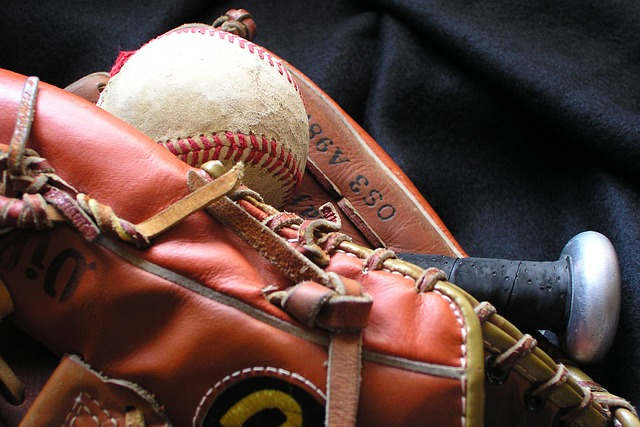 Top 7 Best Baseball Glove Oil and Baseball Glove Conditioner for 2023