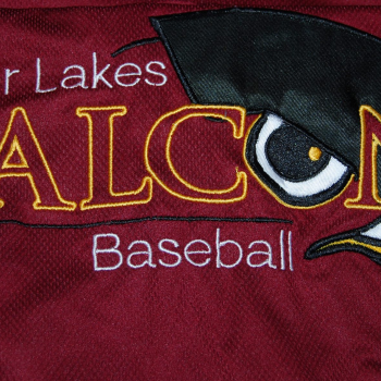 Finger Lakes Falcons