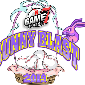 Game 7 Bunny Blast - 1 Day