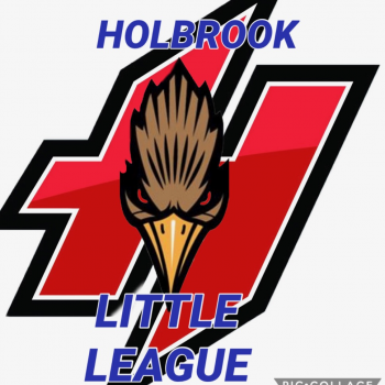 Holbrook Little League 