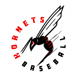 Hornets Baseball 14u