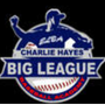 Big League Baseball Academy