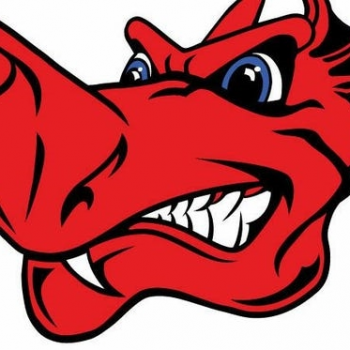 Florida Gulf Coast Red Dragons