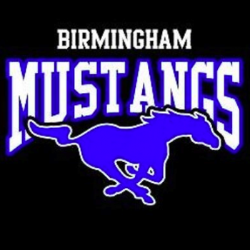 Birmingham Mustangs