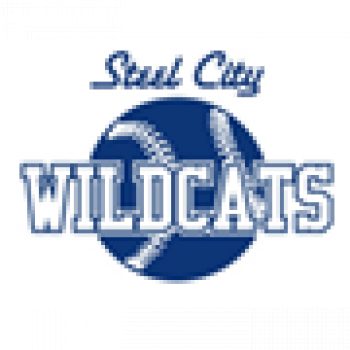 Steel City Wildcats