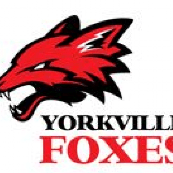 Yorkville Foxes