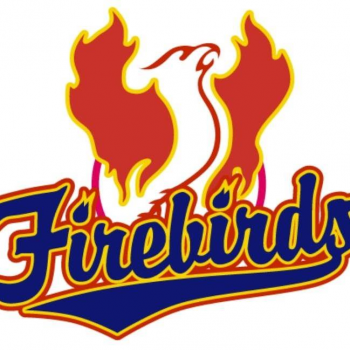 Scottsdale Firebirds Baseball