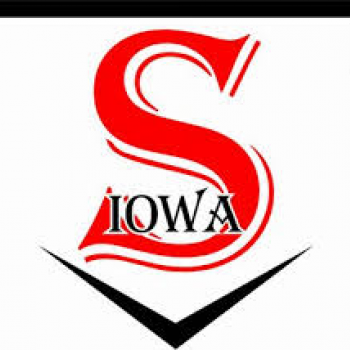 Iowa Sticks Baseball
