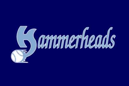 SF Hammerheads 