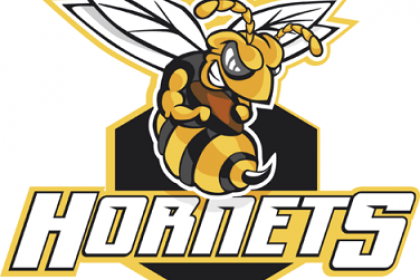 Hornets Baseball Federation
