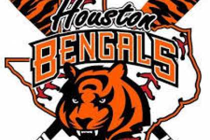 Houston Bengals (2025)
