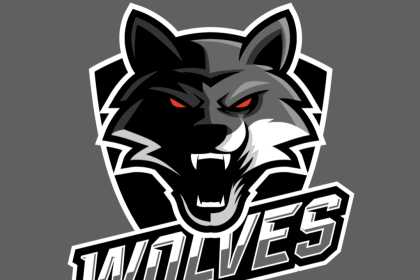 Winfield Wolves