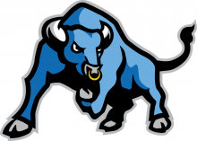 Blue Chip Baseball Bulls