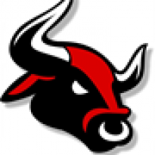 South Dakota Bulls