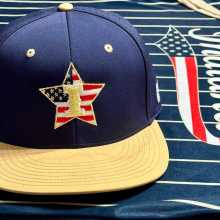 Indiana Freedom Baseball travel Baseball logo
