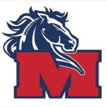 Indiana Mustangs travel Baseball logo