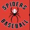 North Georgia Spiders team logo
