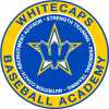 Whitecaps Baseball Academy team logo