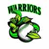 WarriorsNationBaseballClub  team logo