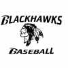 ARKANSAS BLACKHAWKS team logo