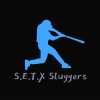 SETX Sluggers 16u