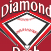 2023 Diamond Dash Event Image