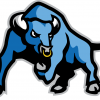 Blue Chip Baseball Bulls team logo