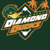 Palm Beach Diamond Ducks