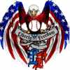 Liberty Freedom team logo