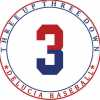 3up3down DeLucia Baseball Academy team logo