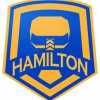Hamilton Baseball team logo