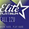 SWFL Elite Platinum 12U team logo
