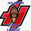 Holbrook Little League 