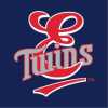 Elizabethton Twins team logo
