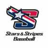 13U Evo Stars and Stripes team logo
