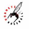 Hornets Baseball 14u team logo