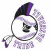 Tribe team logo