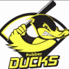 Ohio Valley Rubber Ducks