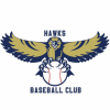 Hawks Baseball Club team logo