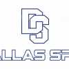 Dallas Spin Youth team logo
