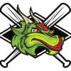 Ontario Dragons team logo