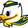 Houston Ducks Baseball team logo