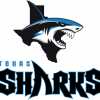 Texas Sharks team logo