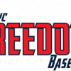 NYC Freedom team logo