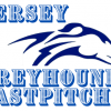 NJ Greyhounds FPC team logo