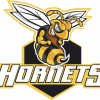 Hornets Baseball Federation team logo