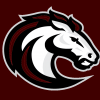 Houston Mustangs team logo