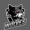 Winfield Wolves team logo
