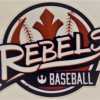 LS Rebels Baseball